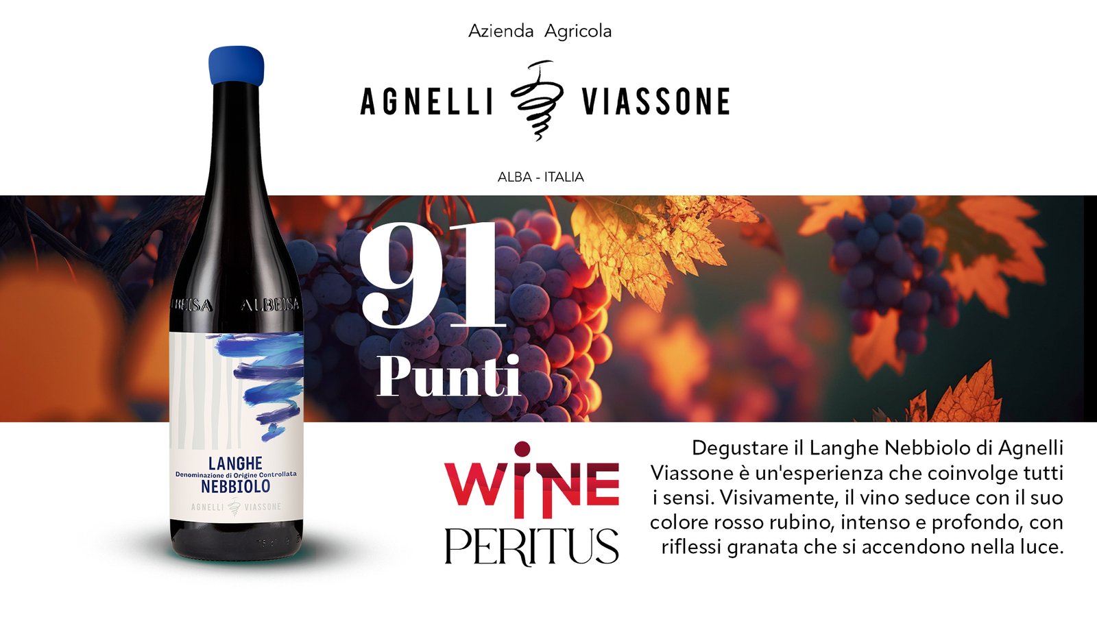 angelli viassone